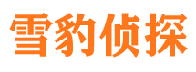 兴山市私家侦探